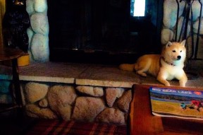 爱游戏手机版-“英雄救援”——赛场紧急救援中的感人瞬间，紧急救援 英雄