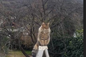 爱游戏全站注册-史上最燃的绝杀时刻，谁的投篮最让你热血沸腾？，投绝杀球能力排行