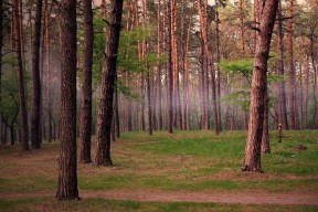 爱游戏体育在线app-“传奇传承：迈克尔·乔丹的篮球思想影响一代人”，迈克尔乔丹篮球人物视频